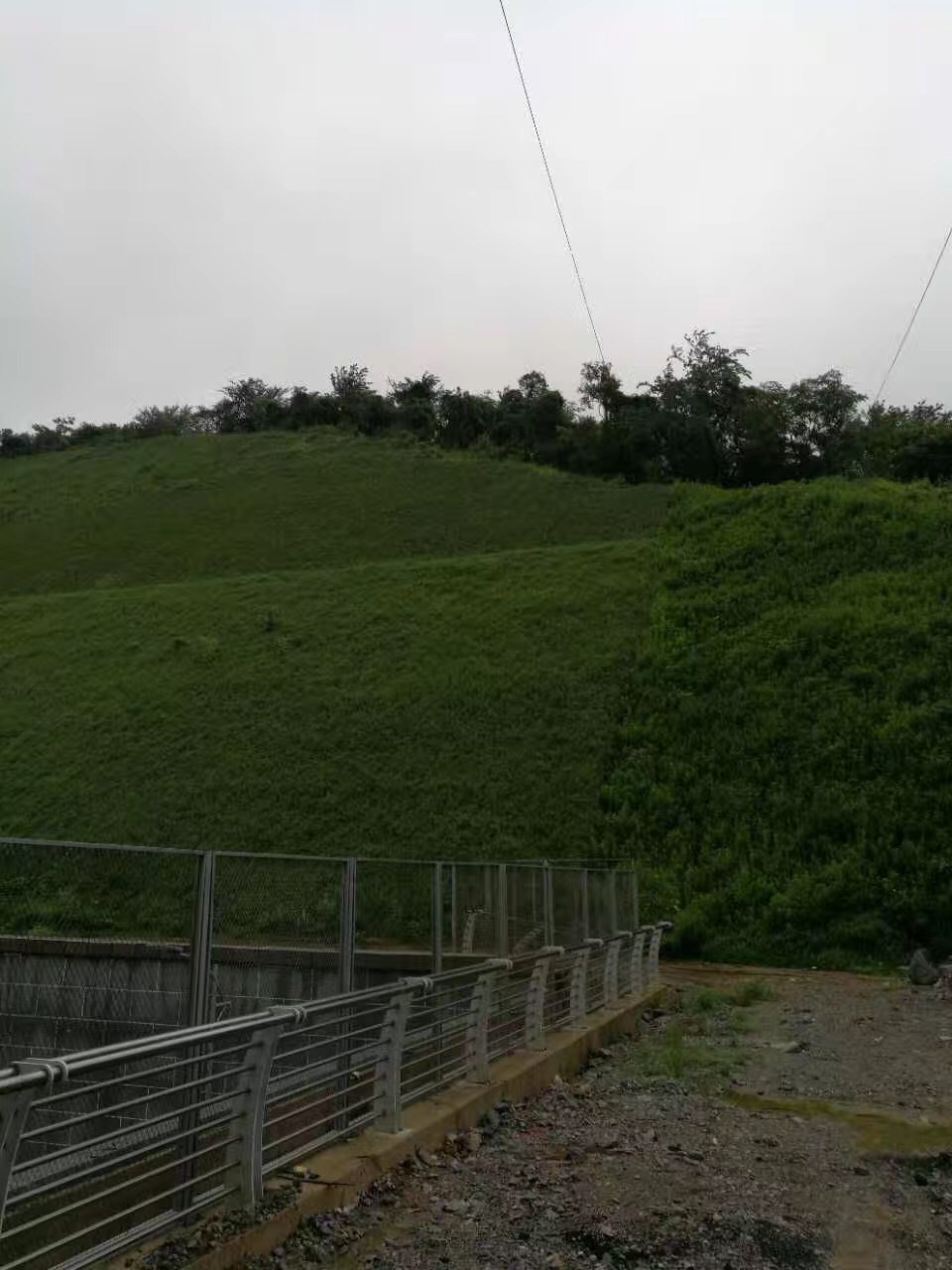 2017062614984635151551559505.jpg 2017062614984635151551559505.jpg