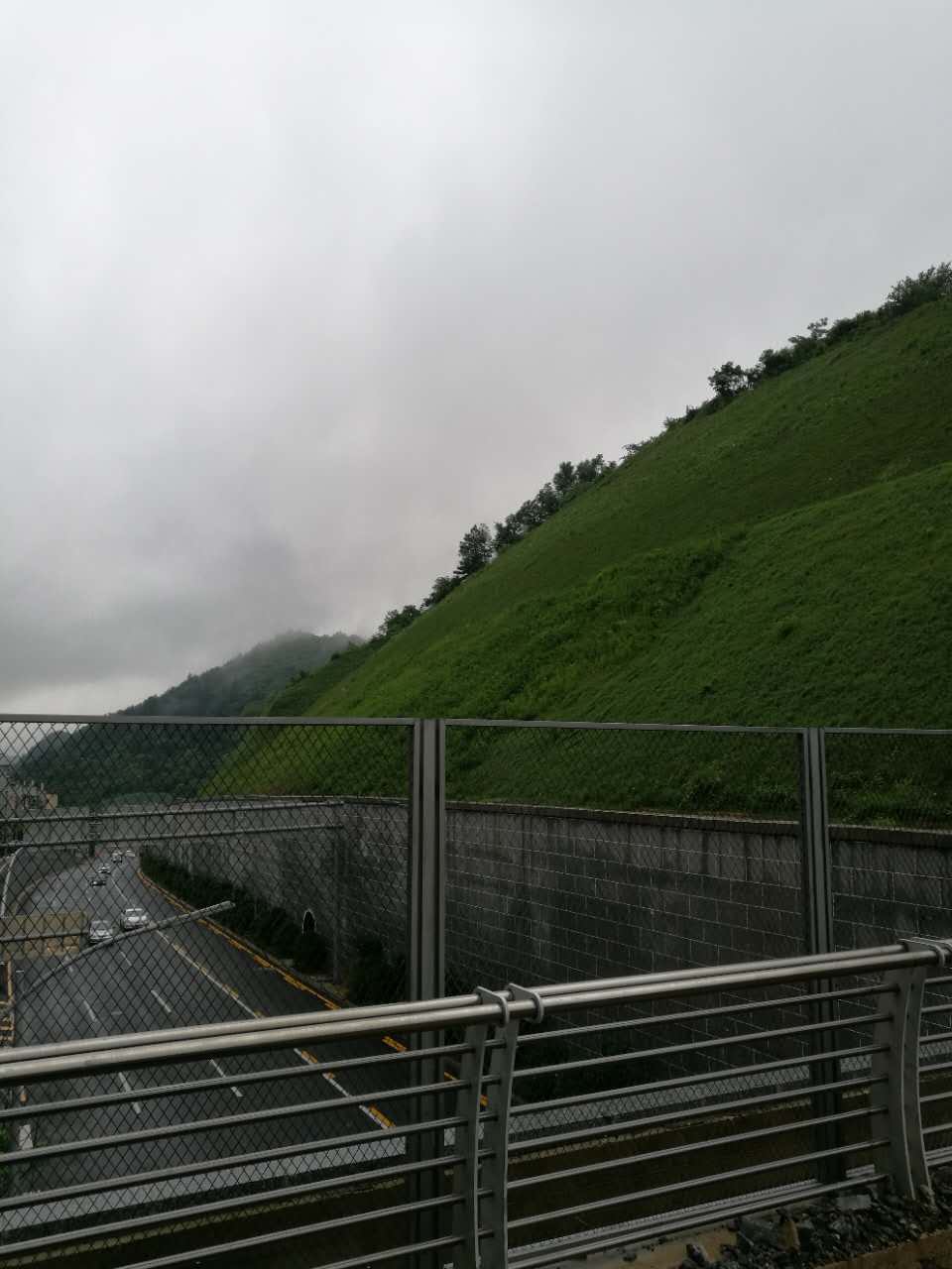 2017062614984642491604091010.jpg 2017062614984642491604091010.jpg